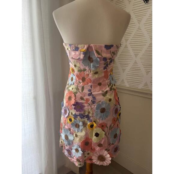NWT Gigi & Ella Size 8 Medium Wren Pink Strapless 3D Garden Flowers Dress - Picture 6 of 9